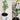 PlantEase – Verstelbare Plantensteunen Set van 20 Stuks - Bliss Home