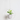 ExtonLeaf – Hangende Plantenpot in Modern Design - Bliss Home