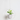 ExtonLeaf – Hangende Plantenpot in Modern Design - Bliss Home